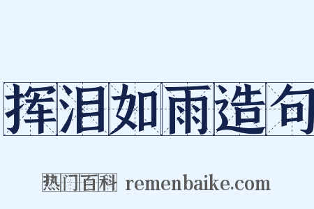 挥泪如雨造句是什么意思的图片